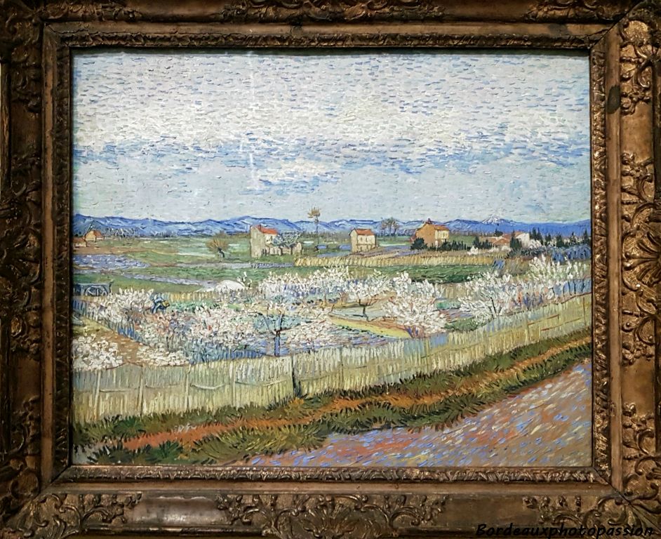 La Crau avec des pêchers en fleurs (avril 1889) Vincent Van Gogh.